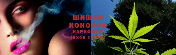 соль ск Краснослободск