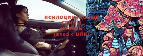 соль ск Краснослободск